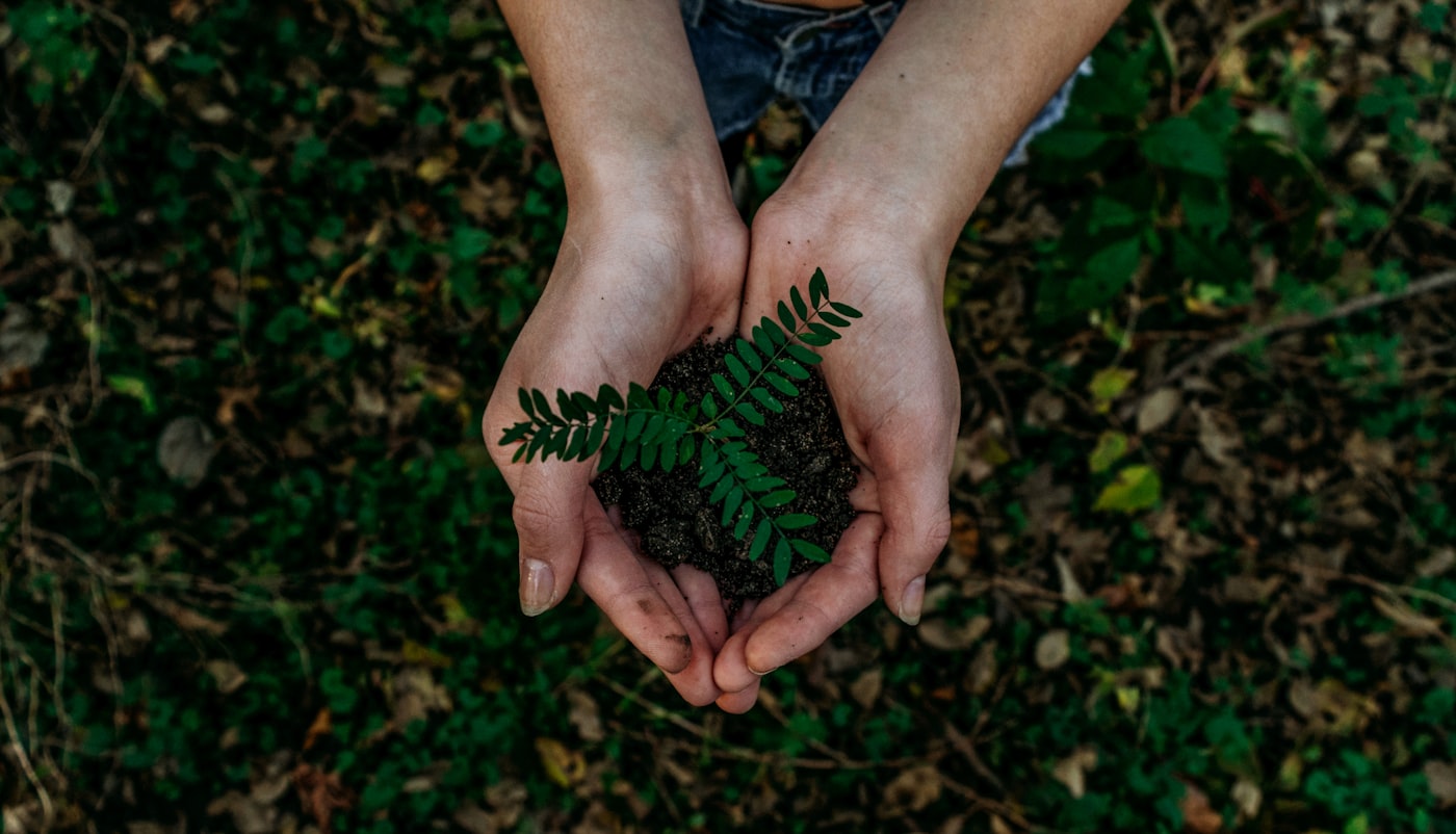 Ecosystem Restoration